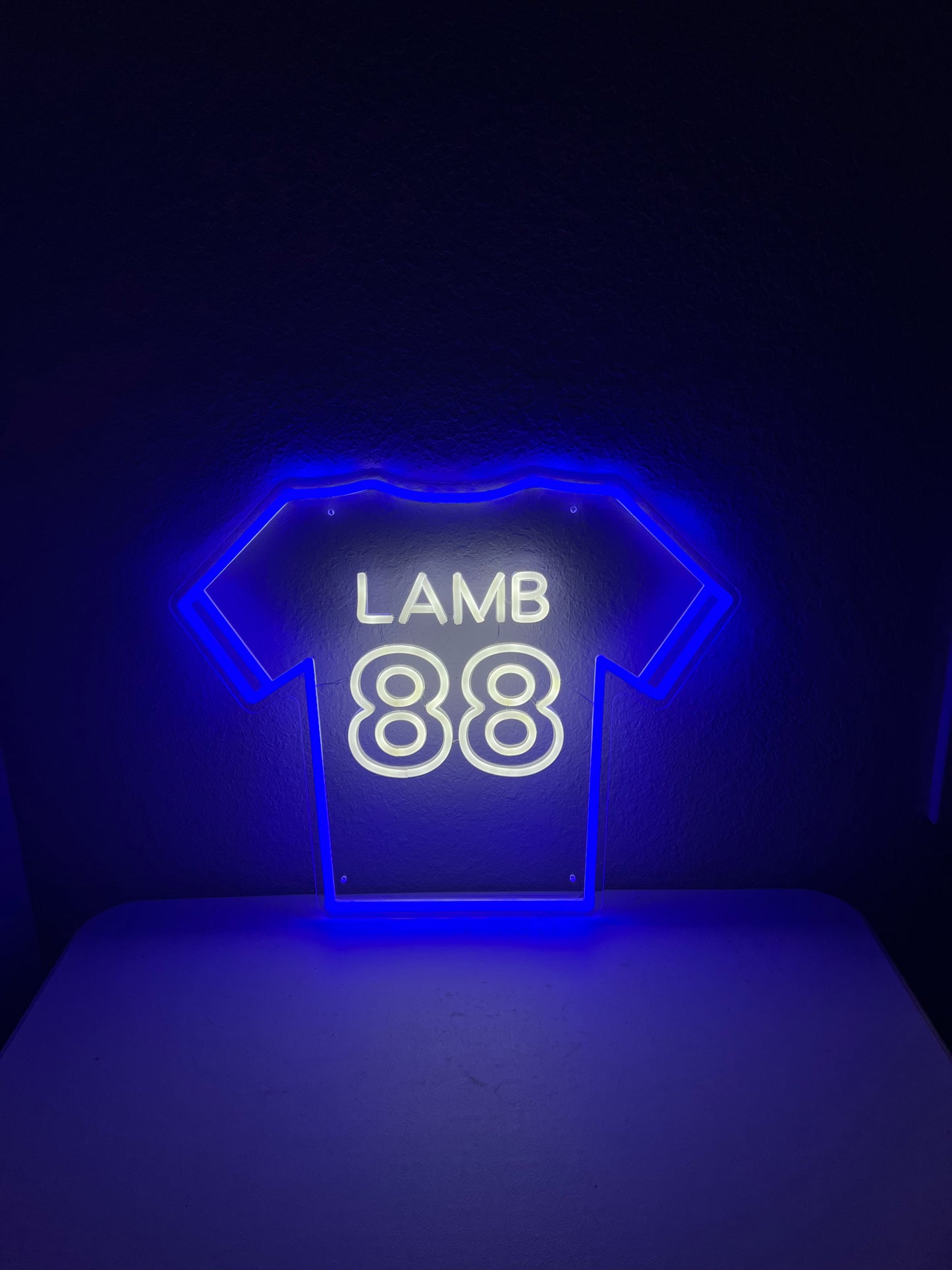 Lamb #88 Glow Jersey