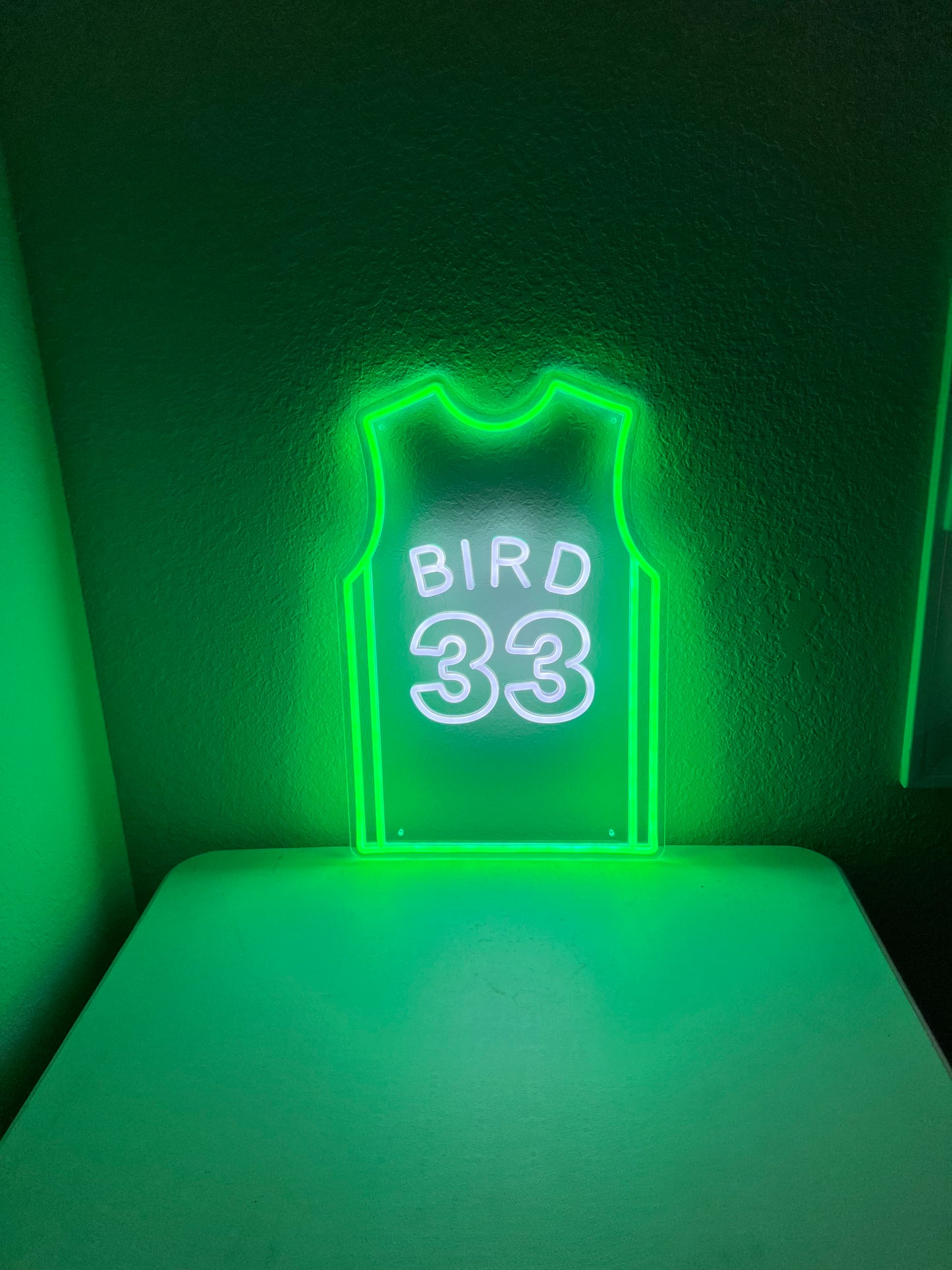 Bird #33 Glow Jersey