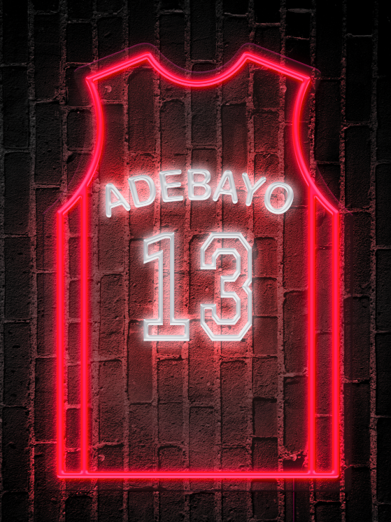 Adebayo 