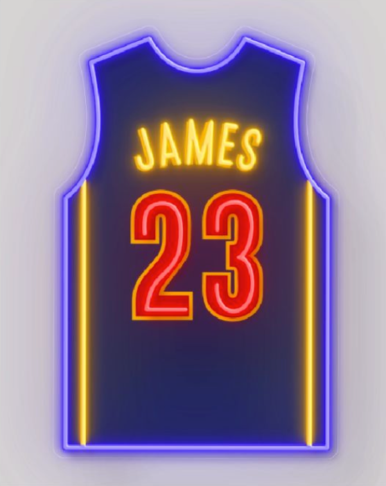 James #23 NAVY